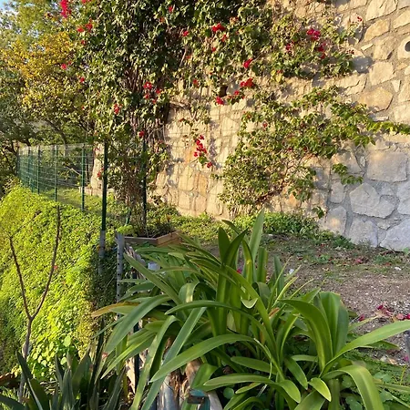 Panoramique Vue Et Jardin-6 Personnes-menton Вілла